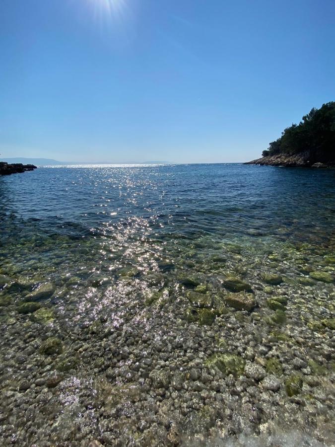Wellness House Oliva With Heated Salt Water Pool, Sauna & Jakuzzi Labin  Exteriör bild