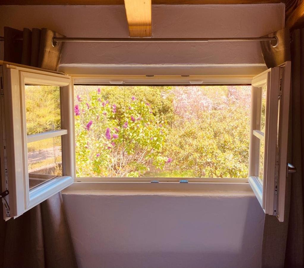 Wellness House Oliva With Heated Salt Water Pool, Sauna & Jakuzzi Labin  Exteriör bild