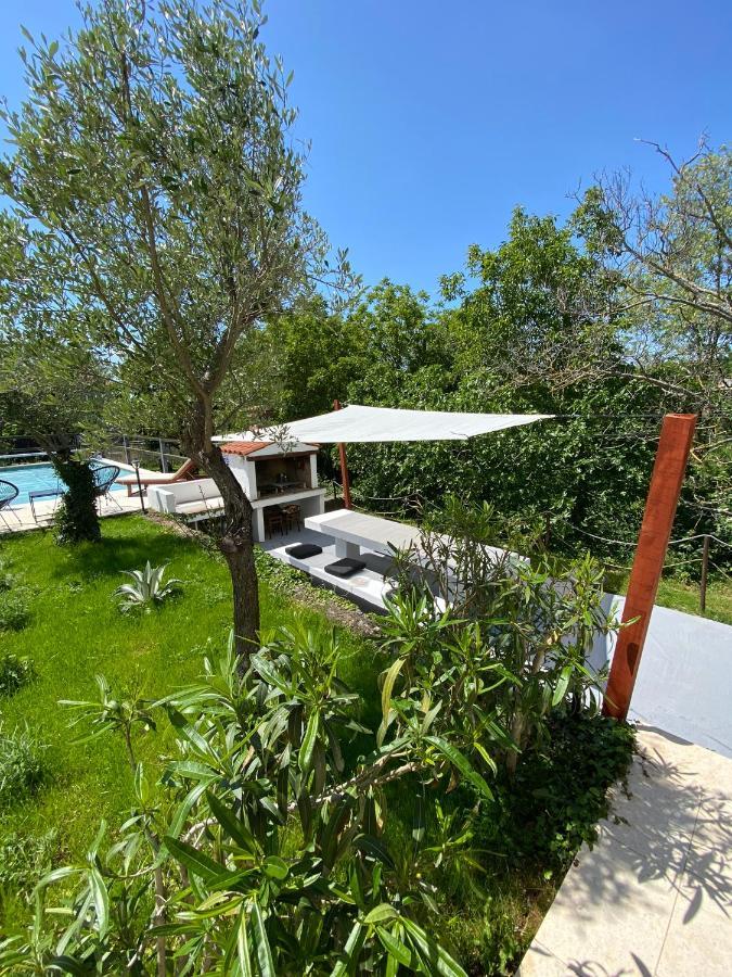 Wellness House Oliva With Heated Salt Water Pool, Sauna & Jakuzzi Labin  Exteriör bild