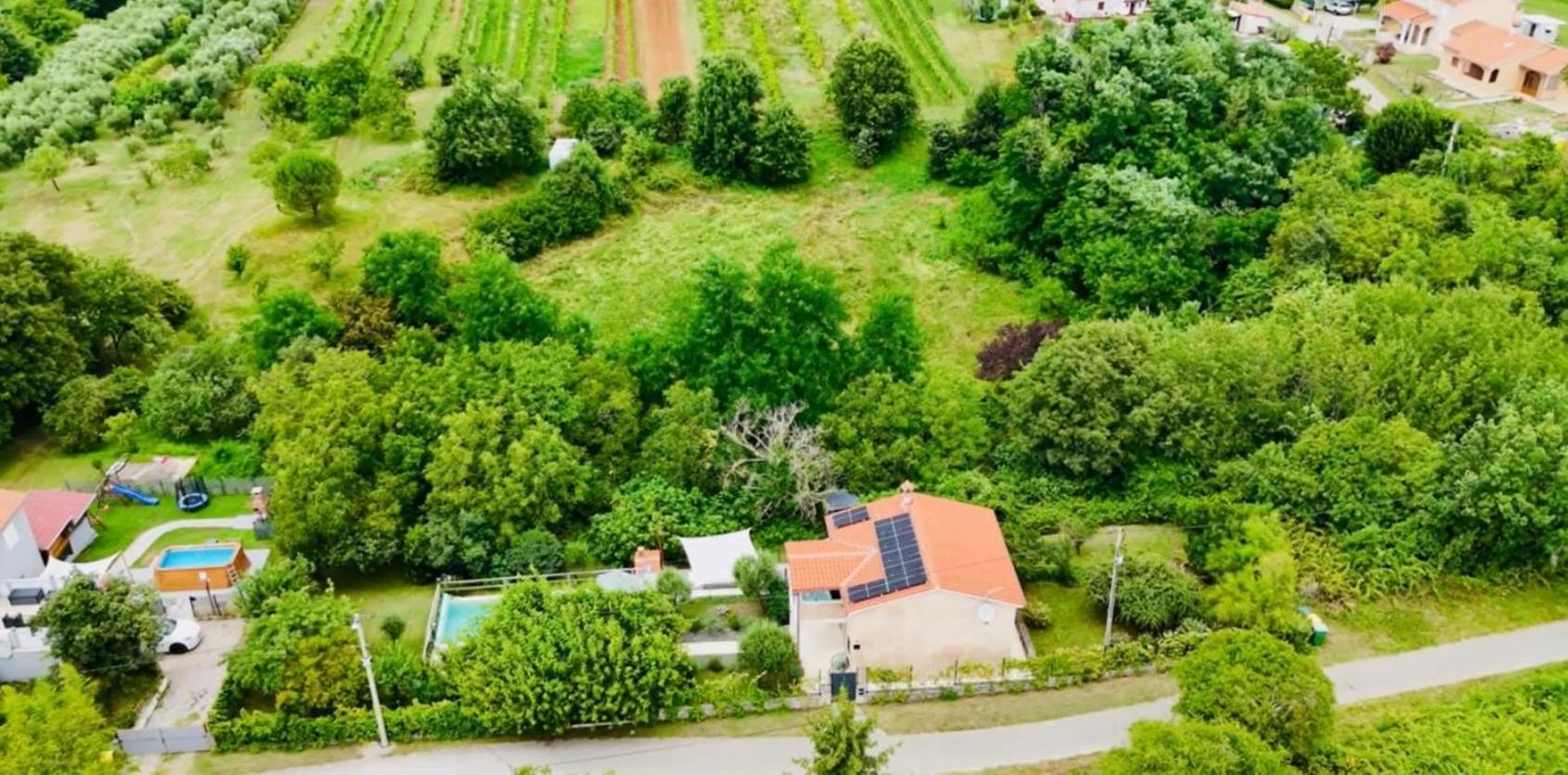 Wellness House Oliva With Heated Salt Water Pool, Sauna & Jakuzzi Labin  Exteriör bild